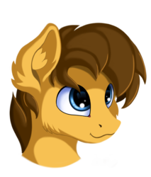 Size: 1700x2000 | Tagged: safe, artist:qbellas, oc, oc only, pony, bust, cute, portrait, simple background, smiling, solo, style emulation, transparent background