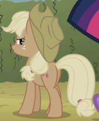 Size: 460x560 | Tagged: safe, screencap, applejack, twilight sparkle, earth pony, pony, unicorn, g4, the return of harmony, butt, canterlot hedge maze, cropped, discorded, female, hedge maze, mare, maze, plot, solo focus