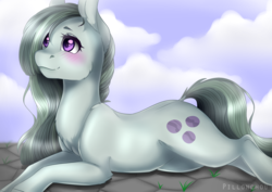 Size: 4092x2893 | Tagged: safe, artist:pillonchou, marble pie, earth pony, pony, g4, cloud, cute, female, high res, marblebetes, mare, prone, sky, smiling, solo