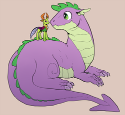 Size: 900x833 | Tagged: safe, artist:mrsstarlight, spike, thorax, changedling, changeling, dragon, g4, adult, adult spike, cute, gay, king thorax, male, older, older spike, ship:thoraxspike, shipping, size difference, smiling, spikabetes, thorabetes