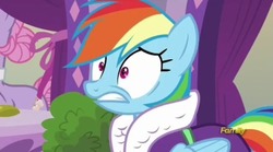 Size: 400x223 | Tagged: safe, screencap, lavender essence, rainbow dash, pegasus, pony, applejack's "day" off, g4, bathrobe, caught, clothes, female, gritted teeth, mare, rainbow dash is best facemaker, reaction image, robe, shocked