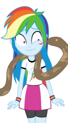 Size: 492x887 | Tagged: safe, artist:sparx24488, rainbow dash, snake, equestria girls, g4, simple background, transparent background