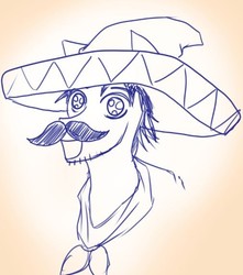 Size: 505x570 | Tagged: artist needed, safe, oc, oc only, pony, facial hair, happy, hat, mexican, moustache, solo