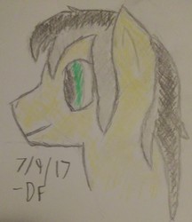 Size: 1926x2233 | Tagged: safe, artist:dazzlingflash, oc, oc only, oc:dawning view, pony, male, solo, traditional art