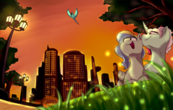 Size: 1700x1080 | Tagged: safe, artist:phuocthiencreation, oc, oc only, oc:honey melon, oc:jack o'trades, bird, parrot, pony, building, city, commission, couple, gay, indian ringneck, lamppost, looking up, male, oc x oc, open mouth, scenery, shipping, smiling, stallion