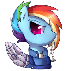 Size: 730x779 | Tagged: safe, artist:angelanelapis, artist:soundwavepie, rainbow dash, pegasus, pony, g4, alternate timeline, amputee, augmented, bust, collaboration, colored pupils, crystal war timeline, female, frown, mare, portrait, prosthetic limb, prosthetic wing, prosthetics, scar, signature, simple background, solo, torn ear, transparent background