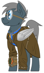 Size: 1443x2421 | Tagged: safe, artist:wcnimbus, oc, oc only, oc:chrome flyer, pegasus, pony, fallout equestria, clothes, coat, colored sketch, fallout, goggles, jumpsuit, male, pipbuck, prosthetics, request, simple background, solo, stallion, vault suit