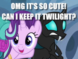 Size: 644x486 | Tagged: safe, starlight glimmer, thorax, changeling, pony, unicorn, g4, to where and back again, cute, glimmerbetes, image macro, meme, open mouth, pet, question, smiling