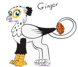Size: 982x854 | Tagged: safe, artist:cosmonaut, oc, oc only, griffon, ginger