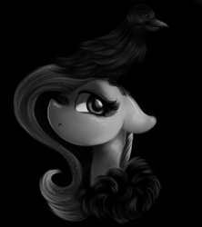 Size: 1600x1800 | Tagged: safe, artist:lcpegasister75, fluttershy, bird, crow, pony, g4, black background, duo, female, floppy ears, grayscale, mare, modeling, monochrome, simple background