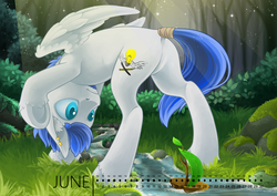 Size: 1000x707 | Tagged: safe, artist:arctic-fox, oc, oc only, oc:wingedthoughts, pegasus, pony, blue eyes, blue mane, calendar, creek, forest, grass, looking back, male, plant, solo, stallion, sunlight, upside down, white coat