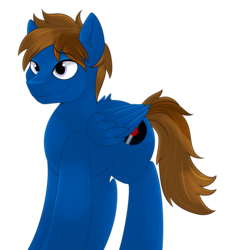 Size: 1936x2150 | Tagged: safe, artist:wulfanite, oc, oc only, oc:bizarre song, pegasus, pony, request, simple background, solo