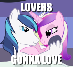 Size: 1088x1000 | Tagged: safe, artist:mlp-silver-quill, princess cadance, shining armor, pony, g4, caption, eye contact, image macro, looking at each other, love, male, meme, prince of love, princess of love, ship:shiningcadance, shipping, straight, subverted meme, this will end in love