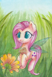 Size: 2016x3000 | Tagged: safe, artist:0okami-0ni, fluttershy, fairy, pony, g4, ear fluff, fairy wings, female, floating, flower, grass, high res, hoof hold, insect wings, looking at something, micro, pollen, sack, smiling, solo, spread wings, traditional art, watercolor painting, wings