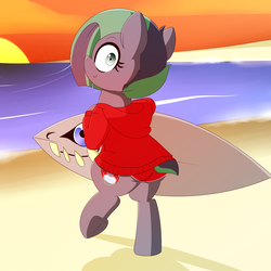 Size: 5000x5000 | Tagged: safe, artist:fullmetalpikmin, oc, oc only, oc:kahuna, pony, absurd resolution, beach, clothes, hoodie, looking at you, looking back, shorts, solo, sunset, surfboard