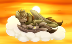 Size: 4500x2778 | Tagged: safe, artist:scarlet-spectrum, oc, oc only, pegasus, pony, cloud, commission, cuddling, cute, eyes closed, gay, glasses, high res, male, sleeping, stallion, sun