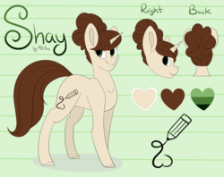 Size: 3000x2375 | Tagged: safe, artist:beashay, oc, oc only, oc:shay, pony, unicorn, female, high res, mare, reference sheet, solo