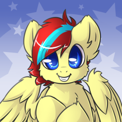 Size: 900x900 | Tagged: safe, artist:sapphfyr, oc, oc only, oc:cloud circuit, pegasus, pony, abstract background, bust, chest fluff, colored pupils, commission, fluffy, looking at you, male, portrait, solo, stallion, wings