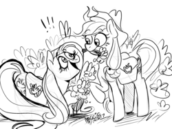 Size: 1280x959 | Tagged: safe, artist:mushroomcookiebear, applejack, fluttershy, pony, g4, excited, flower, happy, monochrome, saddle bag