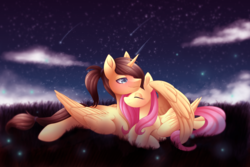Size: 4500x3000 | Tagged: safe, artist:scarlet-spectrum, fluttershy, oc, oc:eternal light, alicorn, firefly (insect), pegasus, pony, g4, alicorn oc, blue eyes, blushing, canon x oc, cloud, eyes closed, female, field, folded wings, high res, hug, male, mare, night, ponytail, scenery, shipping, shooting star, stallion, stars, straight, winghug