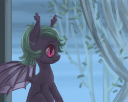 Size: 2500x2004 | Tagged: safe, artist:kovoranu, oc, oc only, bat pony, pony, colored pupils, ear fluff, female, high res, mare, sitting, solo, spread wings, transparent wings, window, wings