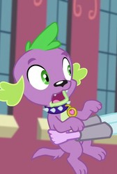 Size: 483x720 | Tagged: safe, screencap, spike, spike the regular dog, dog, equestria girls, g4, my little pony equestria girls: friendship games, cropped, holding a dog, male, offscreen character, puppy, solo