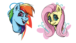 Size: 1440x810 | Tagged: safe, artist:pixelfails, fluttershy, rainbow dash, pegasus, pony, g4, bust, cutie mark background, duo, female, looking at you, mare, portrait, simple background, smiling, white background