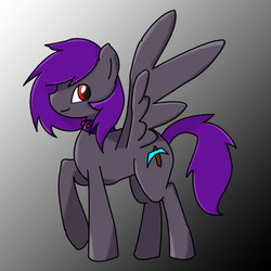 Size: 1024x1024 | Tagged: safe, artist:castlemaid, oc, oc only, oc:dark light, pegasus, pony, simple background, white background
