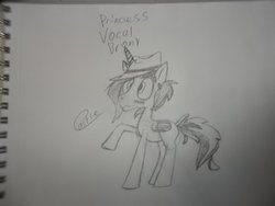 Size: 1024x768 | Tagged: safe, artist:castlemaid, oc, oc only, oc:vocal brony, alicorn, pony, fedora, hat, male, princess, solo, traditional art