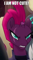 Size: 600x1073 | Tagged: safe, edit, edited screencap, screencap, tempest shadow, pony, unicorn, g4, my little pony: the movie, angry, armor, blatant lies, broken horn, bust, commander cute, cute, edgy, eye scar, female, female focus, frown, horn, i'm not cute, image macro, madorable, mare, meme, memeful.com, pretty pretty tempest, puns in the comments, scar, solo focus, storm guard, teeth, tempestbetes