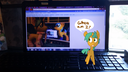 Size: 3264x1836 | Tagged: safe, artist:kryptchild, artist:lumenglace, snails, pony, g4, glitter shell, inception, irl, meta, photo, plushie