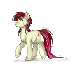 Size: 2200x2000 | Tagged: safe, artist:ann, roseluck, earth pony, pony, g4, chest fluff, commissioner:doom9454, ear fluff, female, high res, mare, simple background, solo, walking, white background