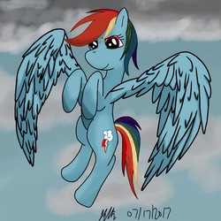Size: 984x984 | Tagged: safe, artist:bleuey, rainbow dash, pegasus, pony, g4, female, flying, large wings, mare, signature, solo, wings
