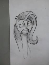 Size: 1224x1632 | Tagged: safe, artist:jchu9151, fluttershy, pony, g4, female, pencil drawing, solo, surprised, traditional art