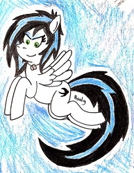 Size: 1632x2112 | Tagged: safe, artist:b-cacto, oc, oc only, oc:danger close, pony, colored pencil drawing, solo, traditional art