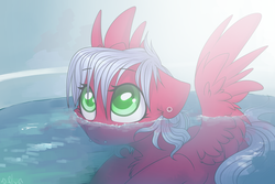 Size: 1024x683 | Tagged: safe, artist:starlyfly, oc, oc only, oc:melon frost, pegasus, pony, bath, chest fluff, cute, female, floppy ears, mare, solo, water, wet mane