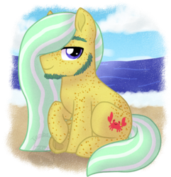Size: 830x860 | Tagged: safe, artist:tambelon, oc, oc only, oc:driftwood, pony, beach, beard, facial hair, freckles, looking at you, male, sideburns, simple background, solo, stallion, transparent background, watermark