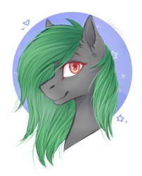 Size: 874x1080 | Tagged: safe, artist:kseniyart, oc, oc only, oc:toxic gears, pony, bust, female, mare, portrait, solo