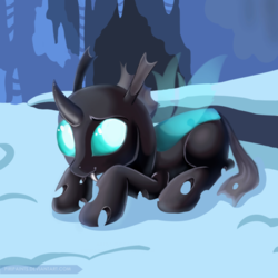 Size: 800x800 | Tagged: safe, artist:piripaints, thorax, changeling, cave, cute, cuteling, fangs, featured image, looking at you, male, prone, smiling, snow, solo, thorabetes
