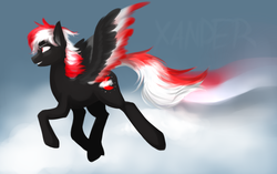 Size: 2700x1700 | Tagged: safe, artist:xanderserb, oc, oc only, pegasus, pony, dark, grin, smiling, solo