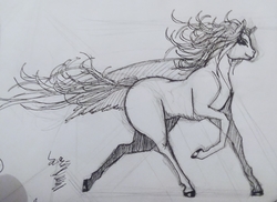 Size: 2570x1873 | Tagged: safe, artist:pantheracantus, oc, oc only, oc:ruituri nox, pony, running, traditional art