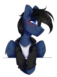 Size: 1024x1372 | Tagged: safe, artist:starlyfly, oc, oc only, pegasus, pony, clothes, jacket, male, shirt, simple background, solo, stallion, transparent background
