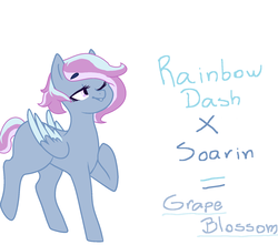 Size: 1692x1497 | Tagged: safe, artist:mah521, oc, oc only, oc:grape blossom, pegasus, pony, colored wings, female, mare, multicolored wings, offspring, parent:rainbow dash, parent:soarin', parents:soarindash, simple background, solo, white background