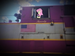 Size: 1136x852 | Tagged: safe, fluttershy, equestria girls, g4, equestria girls in real life, irl, photo, train