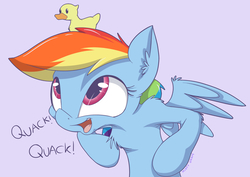 Size: 1994x1408 | Tagged: safe, artist:mistydash, rainbow dash, bird, duck, pegasus, pony, g4, armpits, cute, dashabetes, ear fluff, female, mare, open mouth, quack, rubber duck, silly, silly pony, simple background, solo