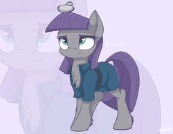 Size: 2753x2132 | Tagged: safe, artist:mistydash, maud pie, earth pony, pony, g4, balancing, chest fluff, clothes, commission, cute, ear fluff, female, fluffy, high res, leg fluff, looking up, maudabetes, open clothes, rock, solo, that pony sure does love rocks, unshorn fetlocks, zoom layer