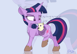 Size: 3507x2480 | Tagged: safe, artist:mistydash, twilight sparkle, cat, pony, unicorn, g4, chest fluff, dialogue, ear fluff, female, high res, kitten, looking back, mare, meow, mud, muddy, pet, saddle bag, unshorn fetlocks, zoom layer