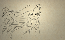 Size: 1600x1000 | Tagged: safe, artist:sycreon, fluttershy, pegasus, pony, g4, bust, female, portrait, sketch, solo, stare, the stare, windswept mane