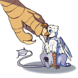 Size: 1000x1000 | Tagged: safe, artist:viirux, oc, oc only, oc:der, oc:gyro feather, oc:gyro tech, griffon, griffonized, micro, paw pads, paws, simple background, species swap, talons, transparent background, underpaw