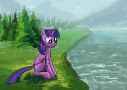 Size: 1200x857 | Tagged: safe, artist:sycreon, twilight sparkle, alicorn, pony, g4, cute, female, forest, grass, looking at something, mare, scenery, sitting, sketch, smiling, solo, tree, twilight sparkle (alicorn), water